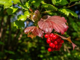 Fotowalk Pfarrwerfen - Bahnhof Werfen